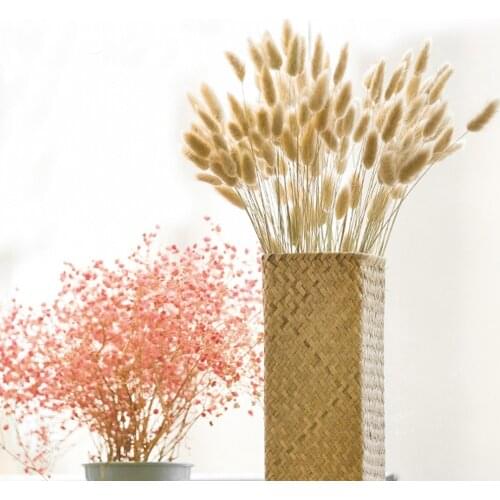 100pcs dried natural flower bouquets raw color Lagurus ovatus bouquets&Uraria picta&raw color rabbit tail grass bouquets bunches