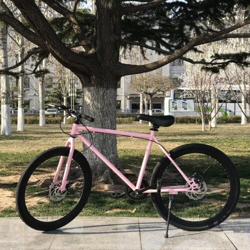 Fixed Gear Bike Male and Female Student Reverse Brake 24-Inch Double Disc Brake Airless Bike