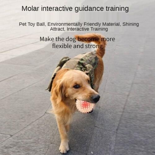 Glowing Bounce Ball Molar Dog Toy Bite-Resistant Interactive Training Bite-Resistant Dog Chew Toy Pet Supplies