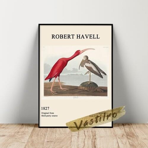 John James Audubon Museum Exhibition Poster, Audubon Scarlet Ibis Wall Art, Vintage Animal Prints, America Birds Wall Picture
