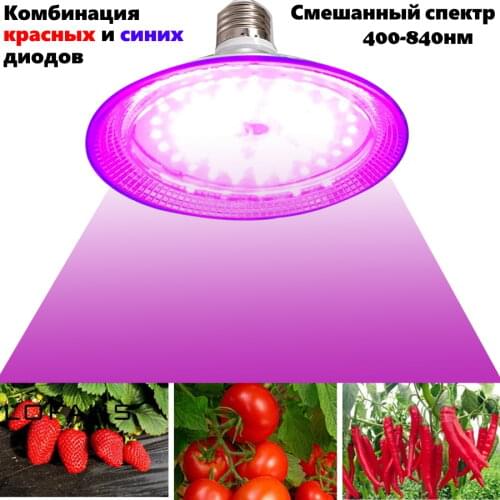 Светодиодные лампы для растений KURATO China At AliExpress