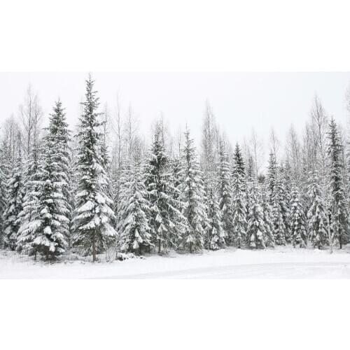 VinylBDS Photography Backgrounds Spectacular Cedar Forest Snow Winter Background Backdrop