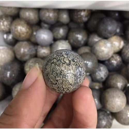 Awesome! Natural Dinosaur Bone Fossil Crystal Ball Sphere Madagascar 1pc