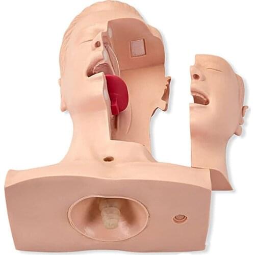 Sputum Suction Model Nasal Cavity Oral Attraction Training Model Teaching Tools Medical Aspiration of Sputum Training Simulator