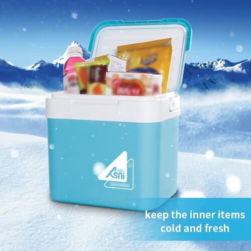 Portable 10L Car Refrigerator Ice Bucket Mini Fridge Cooler and Warmer Picnic Icebox for Skincare Snacks Cans Home and Travel