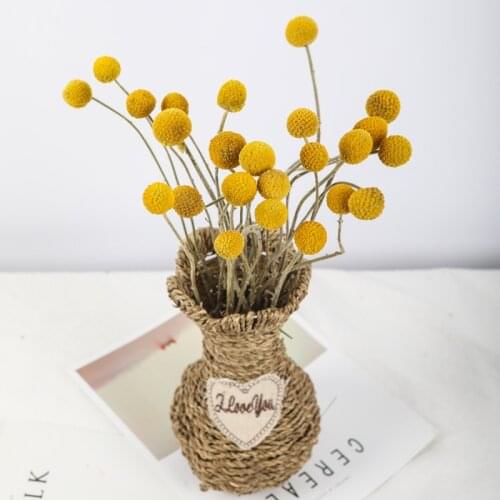 5pcs Decorative Wedding Preserved Flowers Ball,Natural Fresh Dried Gold Orbs Flower Christmas Home Living Room Decoration