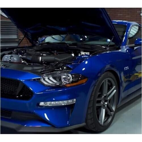 For Ford Mustang Steeda 2015-2018 2PCS Modify Front Hood Bonnet Gas Struts Lift Support Shock Rod Arm Damper gas spring Absorber