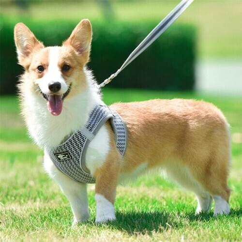 Reflective Breathable Dogs Vest Harnesses Pet Dog Outdoor Walking Vest with Leash Dogs Clothes Adjustable Harnesses Dog Supplies