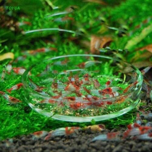 1XCC New Arrival Fish Tank Feeder Aquarium Shrimp Glass Feeding Bowl Dish Tray 6 Size