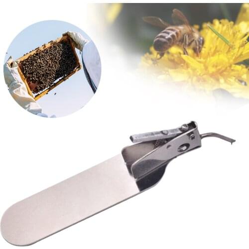 Bee Queen Beekeeping Master Grafting Tool With Spare Tongue Goods Tools For Beekeeper Supplies