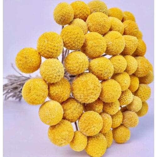 20pcs Forever Gold Orbs Flower Natural Dried Preserved Flower Home Yellow Wedding Christmas 2021 New Year Decoration