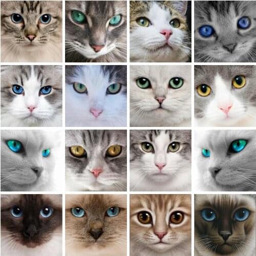 HUACAN 5D DIY Diamond Painting Cat Eye Cross Stitch Full Drill Square Diamond Embroidery Animal Handicraft Home Decoration