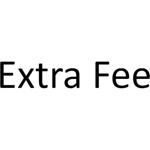Extra Fee