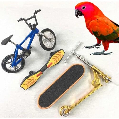 Parrot toy skateboard bird training game simulation alloy bicycle model skateboard set bike + vitality board + scooter