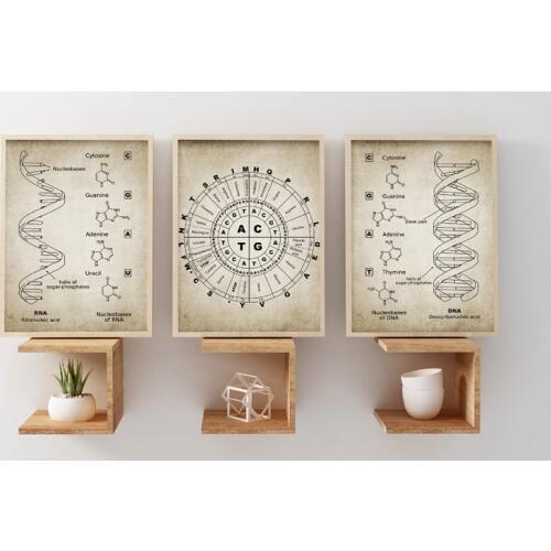 DNA and RNA Genetic Code Wall Art Canvas Painting Prints Genetics Biochemistry Student Gift Vintage Posters Science Wall Decor