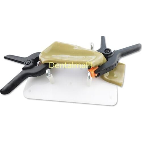 Intestinal Suture Model Bracket Clip Laparoscopic Practice Aids Training Model Surgery dental Training