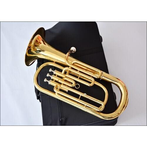 LAIIMAN High quality Euphonium B flat three vertical key tenor horn holding trumpet brass instrument Customized Logonts Case