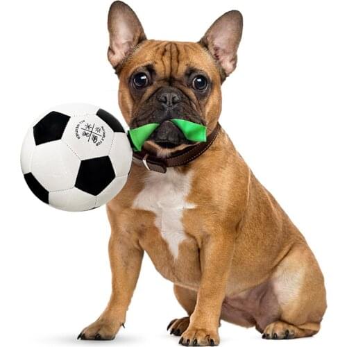 Pets Puppy Dog Soccer Football Exercise Interactive Hunting Ball with Grab Tab for Lawn Grassland Lake Pool Toy