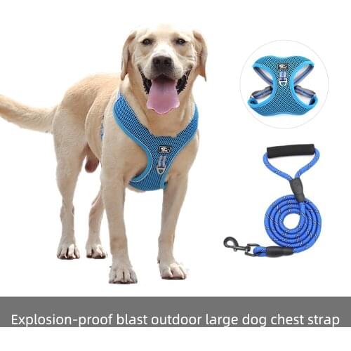 Adjustable Mesh Vest Harness Leash Vest Dog Harness Collar Chest Strap Leash Harnesses With Traction Rope