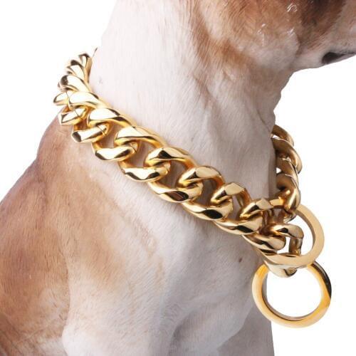 Tiasri Gold Color Dog Collar Pet Chain Necklace High Quality Stainless Steel Pet Choker Double Circle Adjustable Training Rope