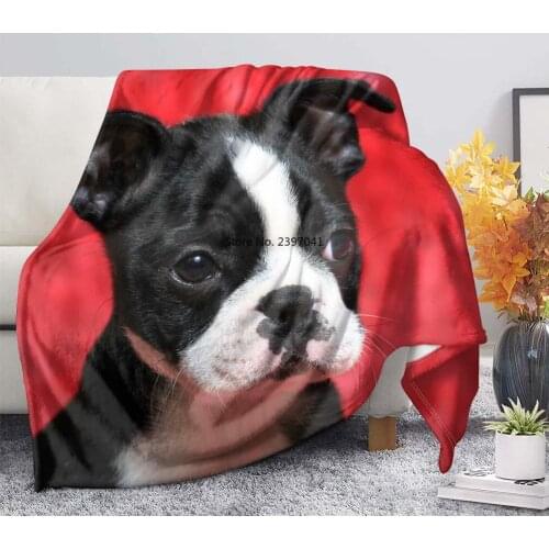 Cute Pug Dog Print Red Throw Blanket for Sofa Couch Bed Cute Puppy Design Blanket Soft Lightweight Cozy Throw Plush Blanket All