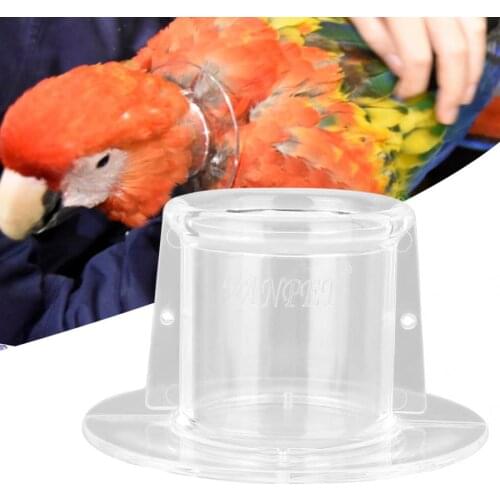Bird Protective Pet Parrot Collar Anti-bite Picking Feather Wound Healing Protective Neck Cover Collar for Bird