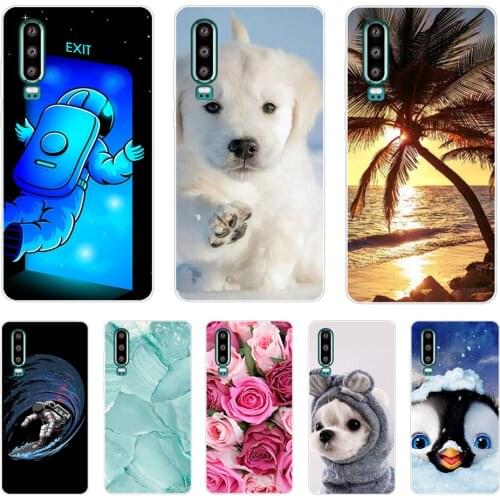Case For Huawei P30 Lite Case Silicone TPU Back Phone Case On For Huawei P30 Pro VOG-L29 ELE-L29 P 30 Lite P30lite Coque Bumper