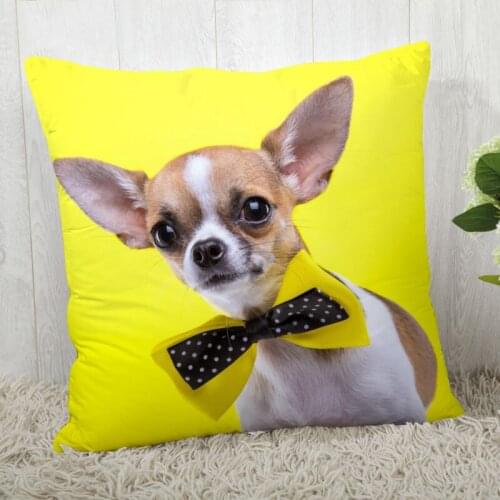 Chihuahua Pillow Cover Customize Pillowcase Modern Home Decorative Pillow Case For Living Room 45X45cm,40X40cm A2020.4.29