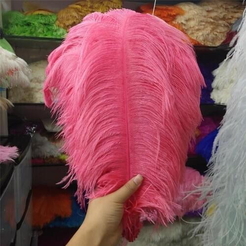 Hot Sales 100pcs Gorgeous Watermelon Red 22-24inches/55-60cm DIY jewelry Christmas Halloween Decoration Natural ostrich feathers
