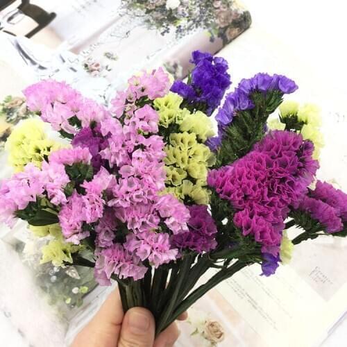 Multicolor Forget-me-not Dried Flower Bouquet Eternal Flower DIY Flower Material with Flower Rose Auxiliary Flower Material