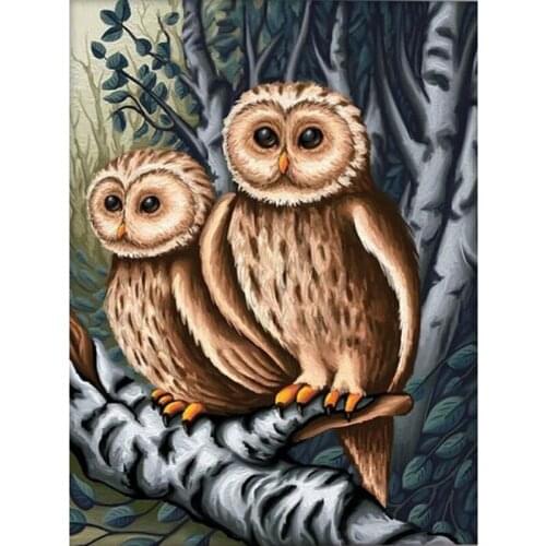 Paint With Diamond Painting Animal Owl Full Drill Square Crystal Rhinestone Picture Diamond Mosaic Cross Stitch Gift Handicrafts