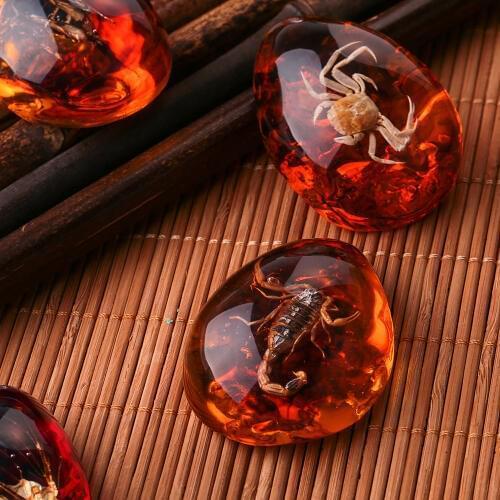 Fashion Natural Insects Amber Gemstone Ornament Originality Scorpions butterfly Bee Crab Decorations DIY Crafts Gift