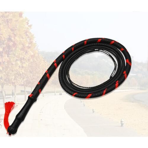 Kung Fu Whip Integrated Rubber Whip Martial Arts Fitness Whip Kung Fu Weapons