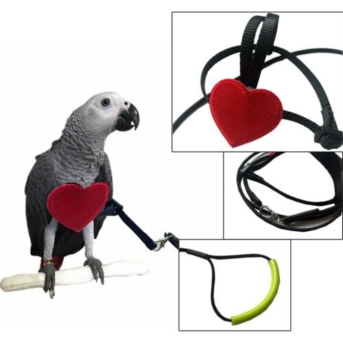 1PCS Bird Harness Leash Creative Adjustable Parrot Harness Leash Bird Supplies Anti-Bite Outdoor Flying Harness and Leash