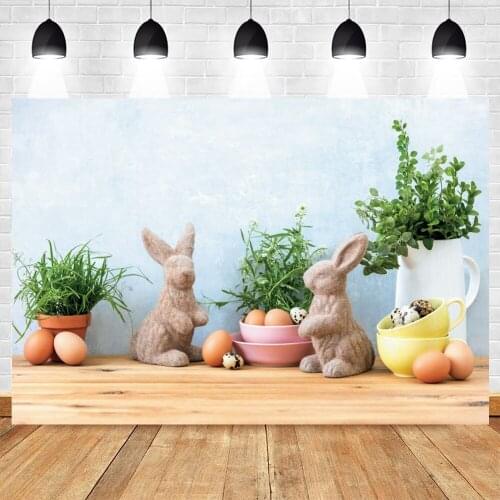 Easter Spring Eggs Flower Rabbit Room Newborn Baby Portrait Photography Backdrop Vinyl Background For Photo Studio Photozone