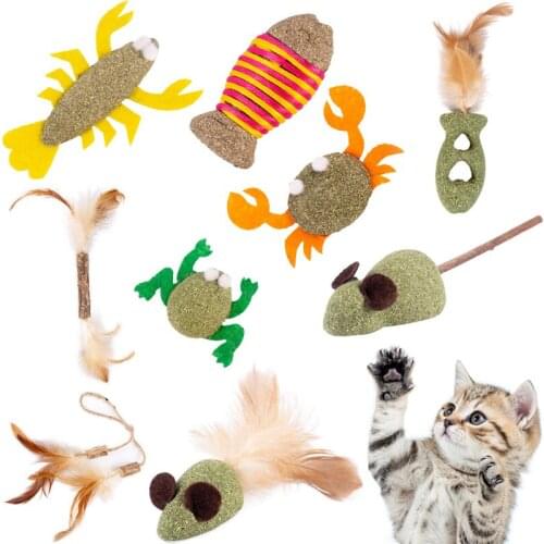 Catnip Cat Chew Toys Cartoons Edible Catnip Ball Safety Healthy Cat Mint Cats Molar Teeth Clean Teeth Game Interactive Pet Toy