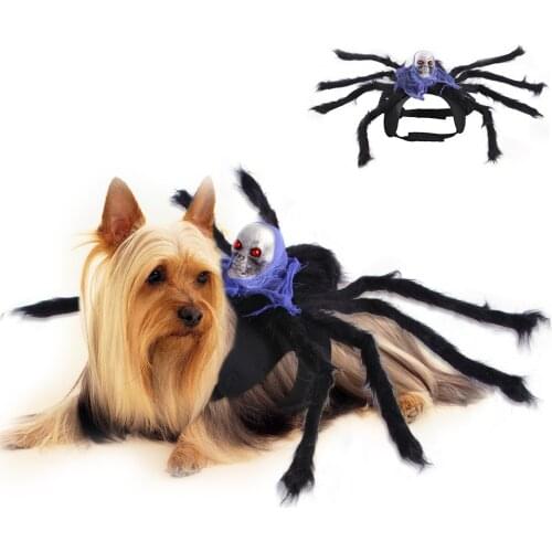 Pet Spider Chest Back Halloween Creative Cat Dog Small Dog Skull Costume New Product