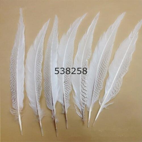 Silver pheasant feathers 40-45cm natural pure white color for craft dancer decoration plumages
