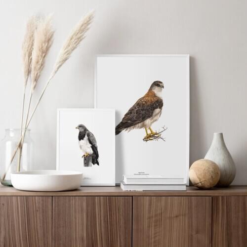 Animal Eagle Raptor Modern Wall Art Paper Painting Art Poster Print Wall Picture for Living Room Decor