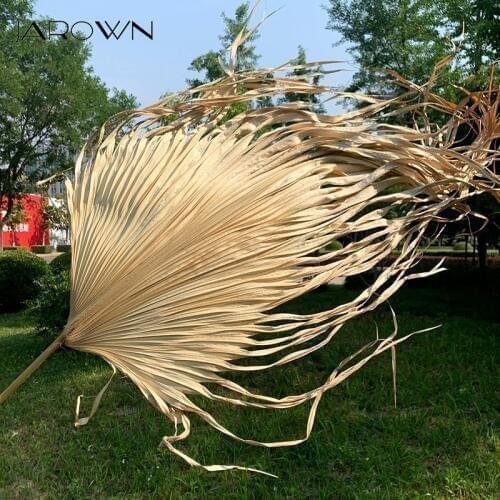 JAROWN Nordic Dried Plant Leaves Palm Fan Leaf Dried Flower Home Party Art DIY Decor Wedding Arch Arrangement Background Decor
