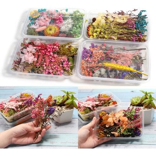 1 Box Random Real Dried Flower Resin Mold Fillings UV Expoxy Flower Epoxy Resin Molds Craft for DIY Jewelry Making Accessories