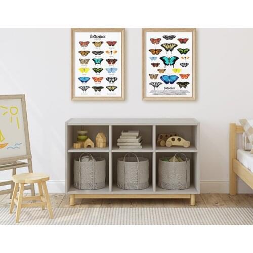Butterfly Collection Print Animal Poster Colorful Wall Art Canvas Painting Wall Pictures for Living Room Classroom Home Decor
