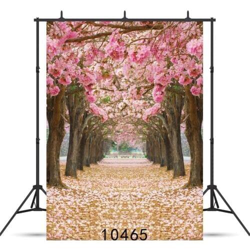 Pink Flowers Blossoms Rosea Tree Street Flower Road Background polyester or Vinyl cloth Computer print wall backdrop