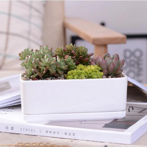 Ceramic Fleshy Flowerpots Minimalist Rectangle White Ceramic Succulent Plant Pot Porcelain Desktop Flower Pot Zakka Home Decor