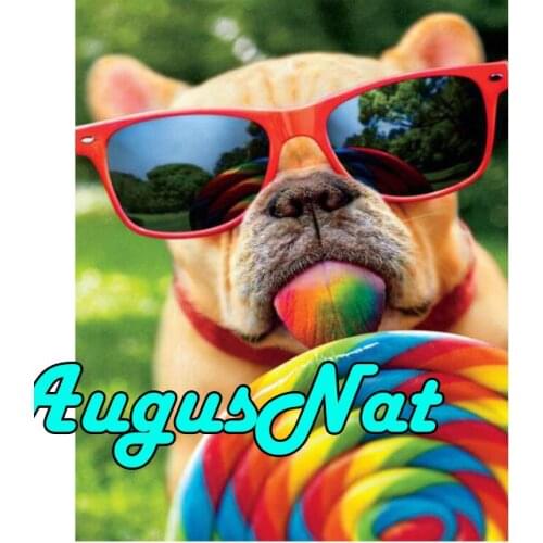 Eyeglass dog diamond painting american pitbull daimont embroidery picture animal diamant mosaic sticker diamand art new arrivals