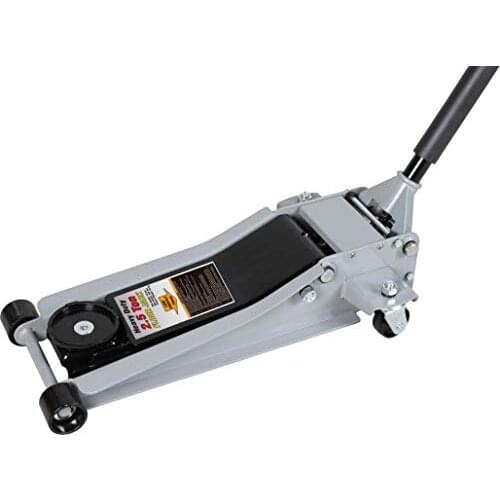 Lady professional extrapolated Trolley Cat under 2.5 T profile