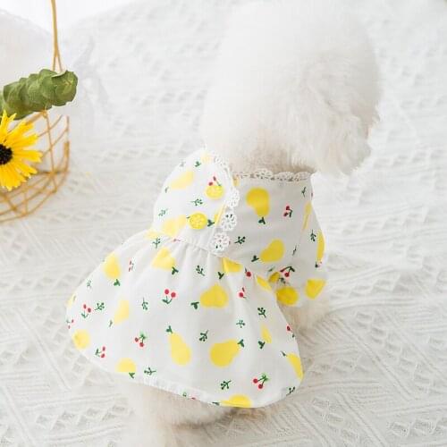 2021 Summer&spring Pet Print Clothes Floral Puff Sleeve Teddy Dress Fresh Princess Cat Dress Pet Supplies Flower Dress for Puppy