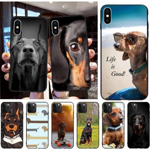 KPUSAGRT Animal Dachshund Doberman dog Painted Phone Case for iPhone 11 pro XS MAX 8 7 6 6S Plus X 5S SE 2020 XR case