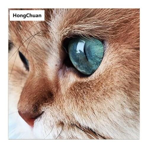 5D DIY square/round diamond painting cross stitch beautiful cat needlework home decoration mural mosaic diamond embroidery gifts