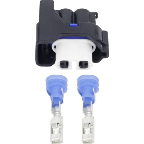 2pin connector Automotive wiring harness connector connector with terminal DJ7024Y-2.8-21